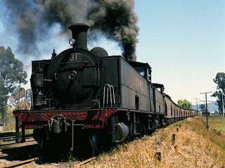 Two South Maitland Railways steam locomotives, with No. 31 leading, head a loaded train from Pelton Colliery on the South Maitland Railways Up Main line on the Neath side of Caledonia Railway Platform. From the collection of Barry Howard.