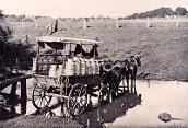 Horse-drawn cream cart, c. 1920s