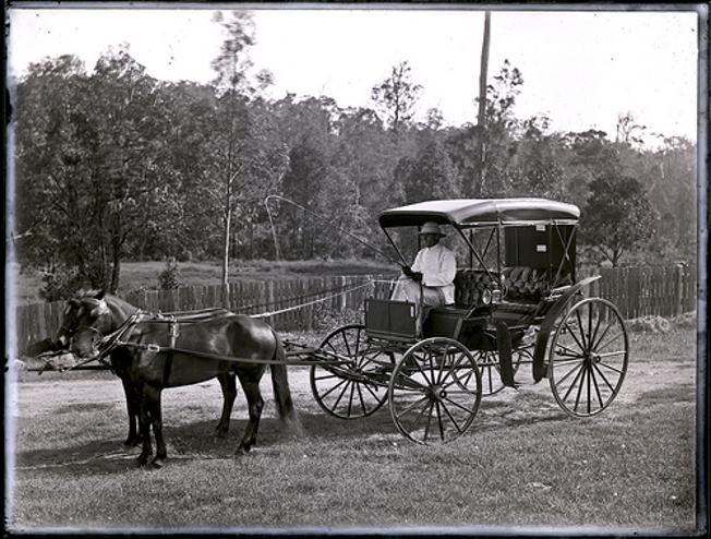 L.H Lewington, with buggy, 5 January 1901