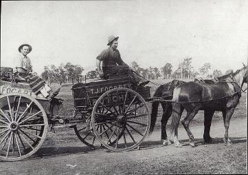 TJ Fogarty Buthchery horse and cart, weston