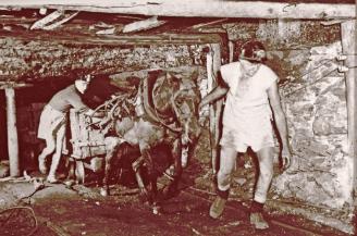 Coal Miners and a pit pony, Hunter Valley, date unknown. Bert Lovett/Norm Barney collection, University of Newcastle, Cultural Collections.