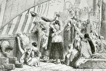 Drawing - Government Emigrants, 1852