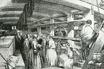 Drawing - Emigrant Ship between decks, 1850