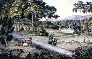 Aborigines Hunting Kangaroo Lycett