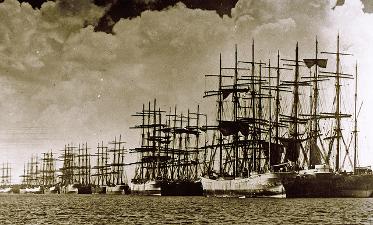 Tall ships, Newcastle Harbour, NSW